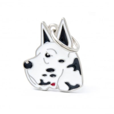 MY FAMILY FRIENDS HARLEQUIN GREAT DANE1