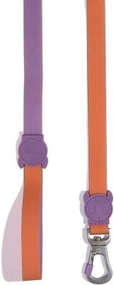 ZEEDOG CORREA IRIS-SMALL