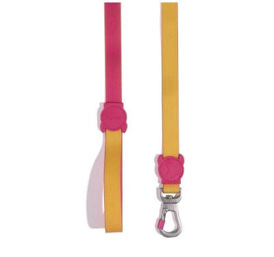 ZEEDOG CORREA NEOPRENO LYRA-SMALL