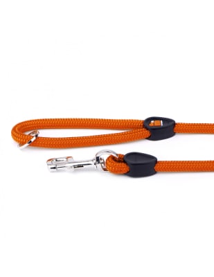 MY FAMILY MEMOPET CORREA PARA PERRO NARANJA1