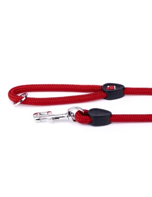 MY FAMILY MEMOPET CORREA PARA PERRO ROJA1