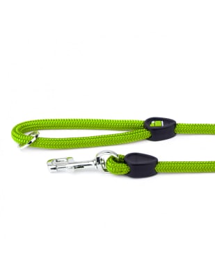 MY FAMILY MEMOPET CORREA PARA PERRO VERDE1