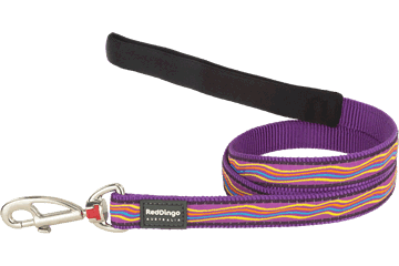 REDDINGO CORREA DREAMSTREAM PURPLE-TALLA XS (12 mm)1