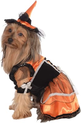 DISFRAZ PET COSTUME BRUJA NARANJA