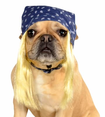 DISFRAZ PET BANDANA WITH HAIR1