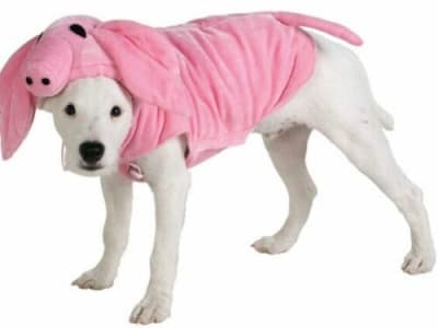 DISFRAZ PET COSTUME CERDITA