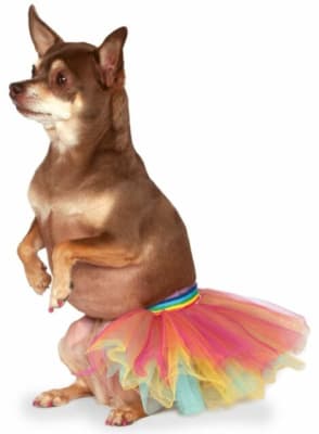 DISFRAZ PET RAINBOW TUTU- M/L