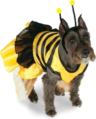 DISFRAZ DE ABEJA DRESS PET DRESS PET COSTU2