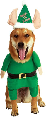 DISFRAZ AYUDANTE DE SANTA PET COSTME1