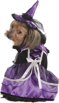 DISFRAZ PET COSTUME BRUJA PÚRPURA