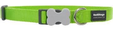 REDDINGO COLLAR DOG CLASSIC LIME GREEN1