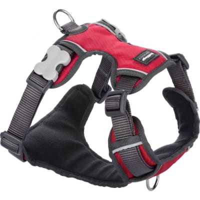 REDDINGO HARNES RED1