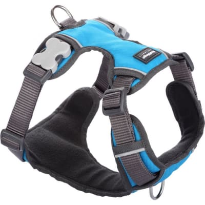 REDDINGO HARNES TURQUOISE