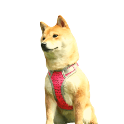 SIRIUS PECHERA - FUCSIA