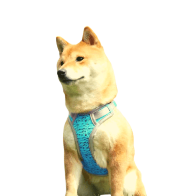 SIRIUS PECHERA - TURQUESA1