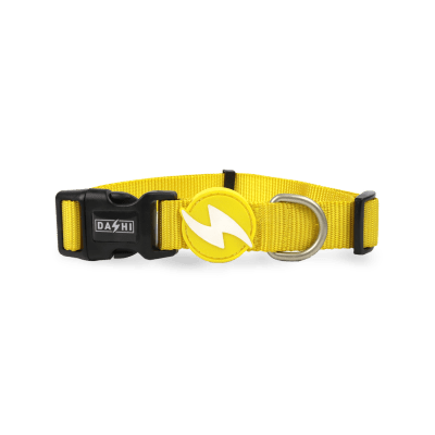 DASHI COLLAR SOLID YELLOW
