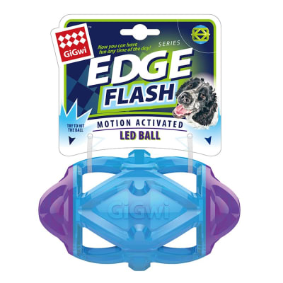 GIGWI RUGBY MORADO-CELESTE1