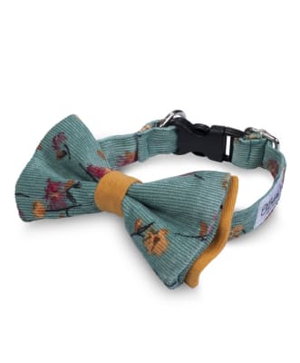 BAUL DE COCO COLLAR ELEGANZZA-XS