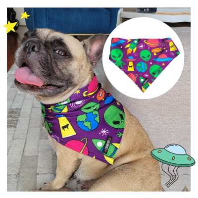 COSHUPET BANDANA EXTRATERRESTRE