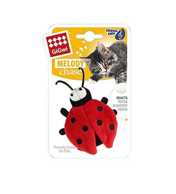 GIGWI BEETLE MELODY CHASER W/MOTION ACTIVATED SOUND CHIP (BEETLE SOUND)