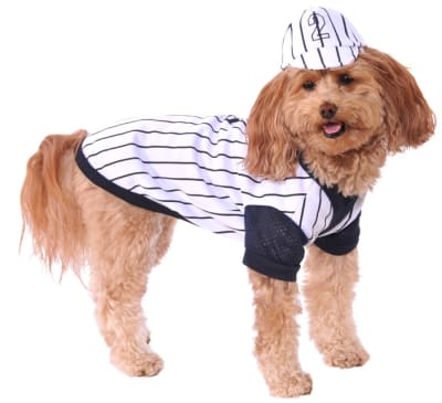 DISFRAZ PET COSTUME BÉISBOLISTA