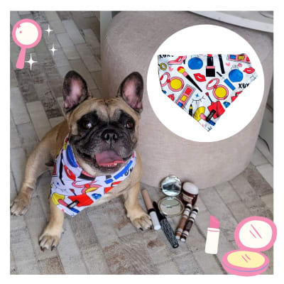 COSHUPET BANDANA FASHION1