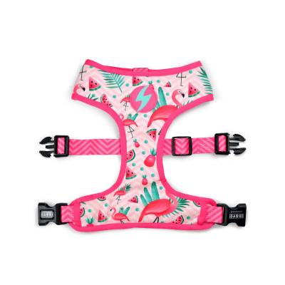 DASHI PECHERA FLAMINGO NEO MESH1