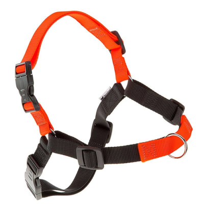 FERPLAST ARNES COACH ANTI JALONES NARANJA S/M1
