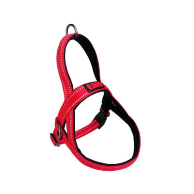 KONG ARNES NORWEGIAN (ROJO)