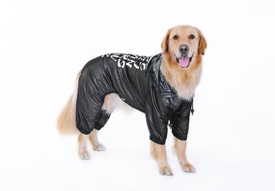 HOOPET ENTERIZO IMPERMEABLE 
