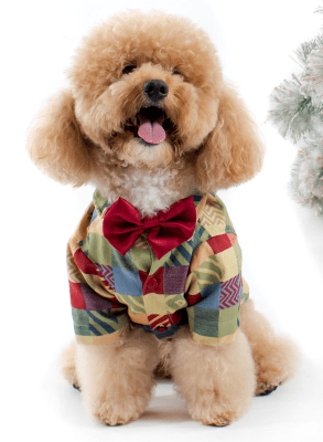 SCRAPPIE CAMISA VINTAGE + CORBATIN