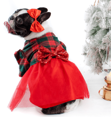 SCRAPPIE VESTIDO X-MAS ESCOSES