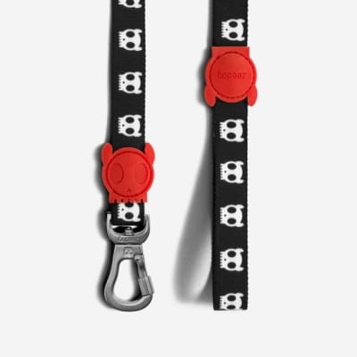 ZEEDOG CORREA SKULL-SMALL