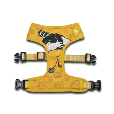 DASHI PECHERA BRUTUS NEO-MESH1