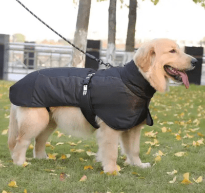 DUOMM CAPA IMPERMEABLE CON ARGOLLA DE CUERO