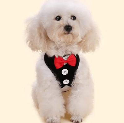 HOOPET PECHERA CON  MOÑO ROJO1