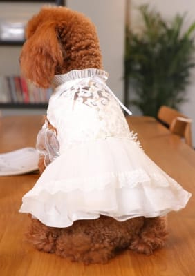 HOOPET VESTIDO BLANCO NOVIA