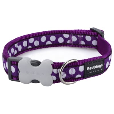 REDDINGO COLLAR DOG  WHITE SPOTS ON PURPLE