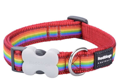 REDDINGO COLLAR DOG RAINBOW ROJO