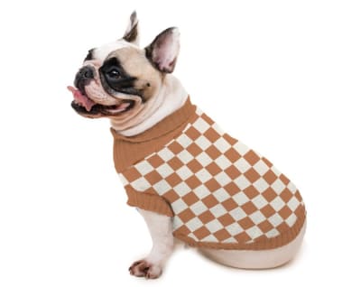 PRETTY PET SUETERS CUADROS MARRON