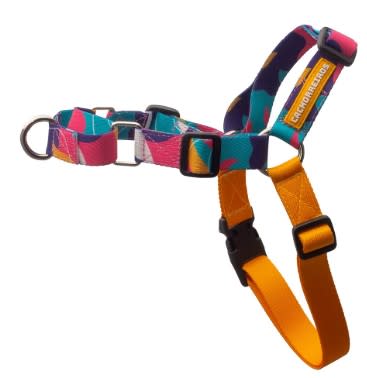 CACHORREIROS ARNES ANTI-JALONES MODELO DOGE- PEQUEÑO1