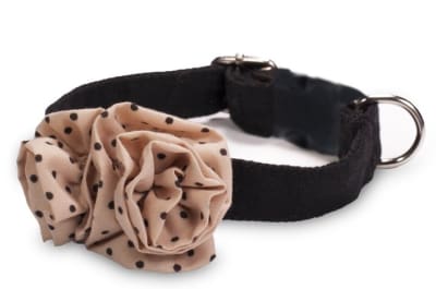BAUL DE COCO COLLAR SHANELLE- LARGE
