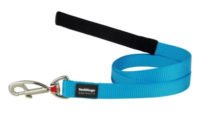 REDDINGO CORREA CLASICA DOG TURQUEZA