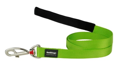 REDDINGO CORREA CLASICA DOG LIME GREEN1