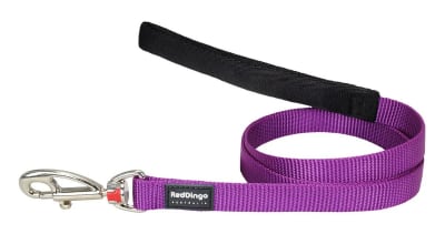 REDDINGO CORREA CLASICA DOG PURPLE