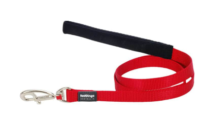 REDDINGO CORREA CLASICA DOG RED