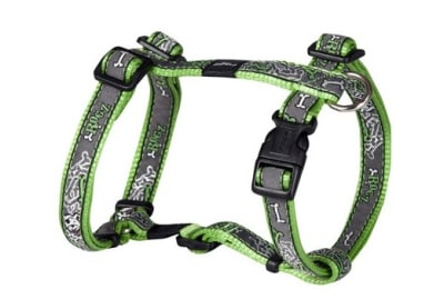 ROGZ JELLYBEAN H-HARNESS VERDE-SMALL