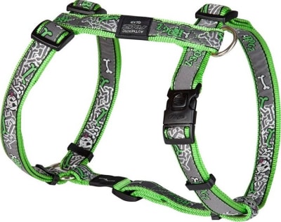 ROGZ BEACH BUM HARNESS VERDE-LARGE