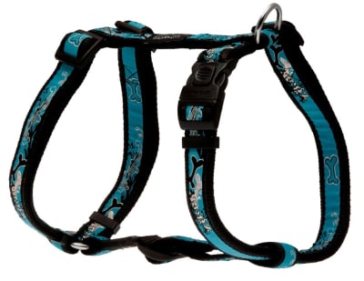 ROGZ BEACH BUM HARNESS TURQUEZA-LARGE