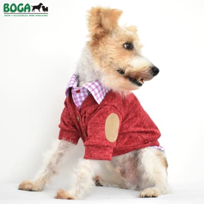 BOGA CHOMPA ROJA Y CAMISA (MACHO)1